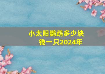 小太阳鹦鹉多少块钱一只2024年