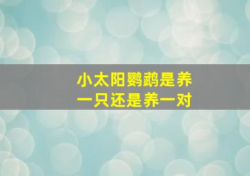 小太阳鹦鹉是养一只还是养一对