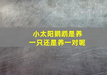 小太阳鹦鹉是养一只还是养一对呢