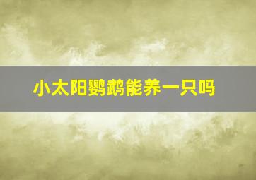 小太阳鹦鹉能养一只吗