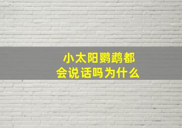 小太阳鹦鹉都会说话吗为什么