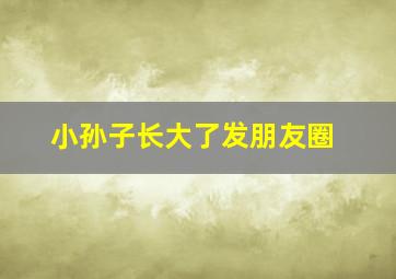 小孙子长大了发朋友圈