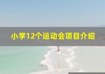 小学12个运动会项目介绍