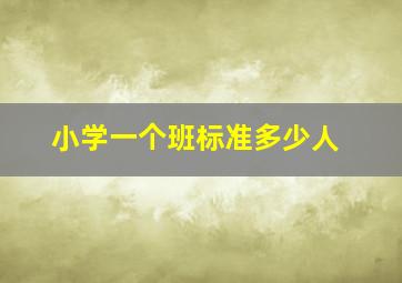 小学一个班标准多少人