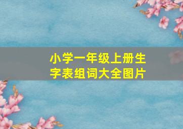 小学一年级上册生字表组词大全图片