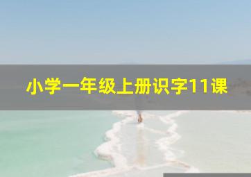 小学一年级上册识字11课