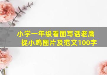 小学一年级看图写话老鹰捉小鸡图片及范文100字