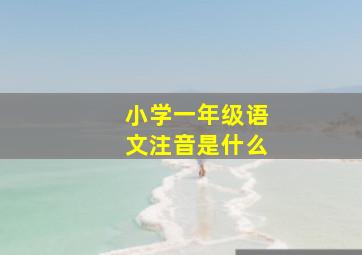 小学一年级语文注音是什么