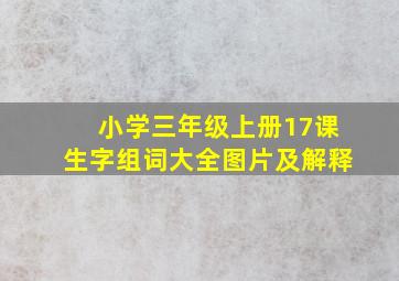 小学三年级上册17课生字组词大全图片及解释