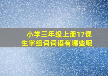 小学三年级上册17课生字组词词语有哪些呢