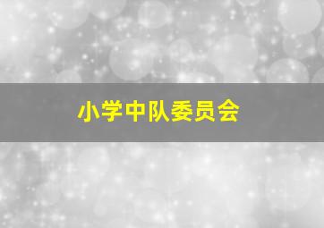 小学中队委员会