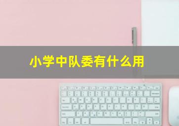 小学中队委有什么用