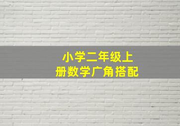 小学二年级上册数学广角搭配