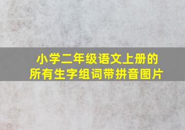 小学二年级语文上册的所有生字组词带拼音图片