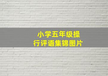 小学五年级操行评语集锦图片