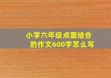 小学六年级点面结合的作文600字怎么写