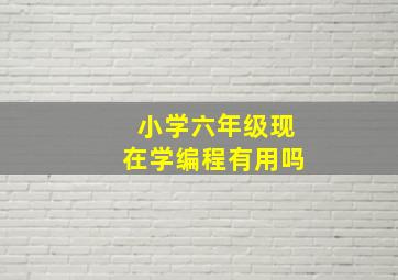 小学六年级现在学编程有用吗