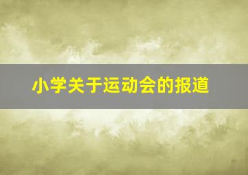 小学关于运动会的报道