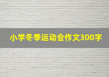 小学冬季运动会作文300字