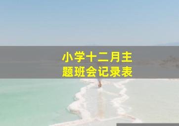 小学十二月主题班会记录表