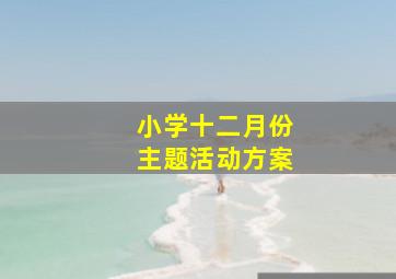 小学十二月份主题活动方案