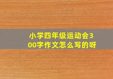 小学四年级运动会300字作文怎么写的呀