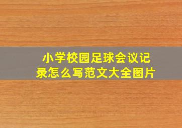 小学校园足球会议记录怎么写范文大全图片