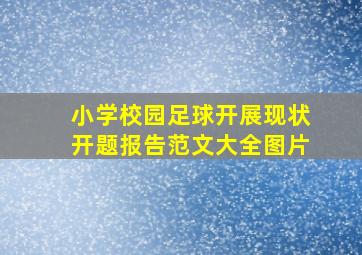 小学校园足球开展现状开题报告范文大全图片