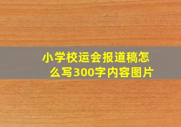 小学校运会报道稿怎么写300字内容图片