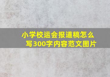 小学校运会报道稿怎么写300字内容范文图片