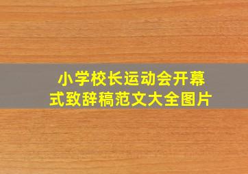 小学校长运动会开幕式致辞稿范文大全图片