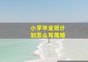 小学毕业班计划怎么写简短