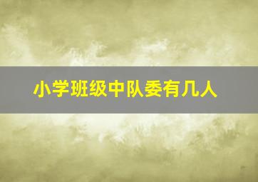 小学班级中队委有几人