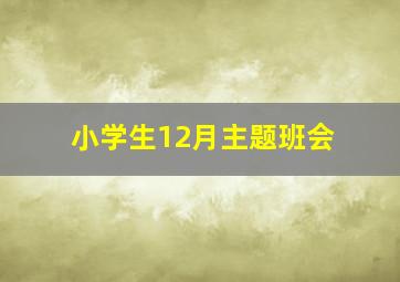 小学生12月主题班会