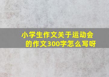 小学生作文关于运动会的作文300字怎么写呀