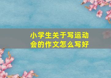 小学生关于写运动会的作文怎么写好