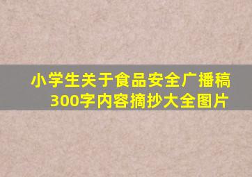 小学生关于食品安全广播稿300字内容摘抄大全图片