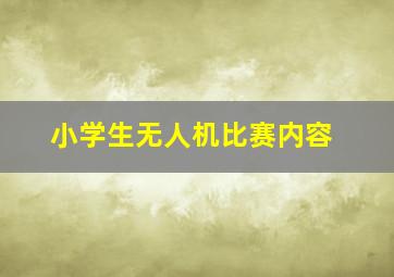 小学生无人机比赛内容