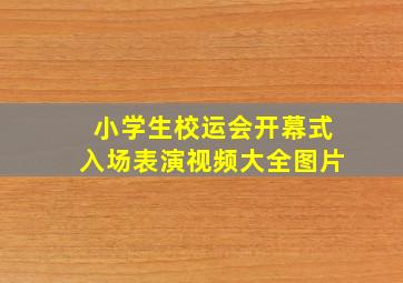 小学生校运会开幕式入场表演视频大全图片