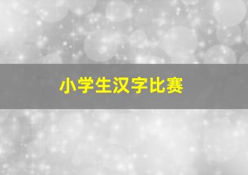 小学生汉字比赛