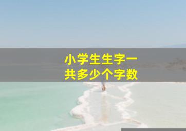 小学生生字一共多少个字数