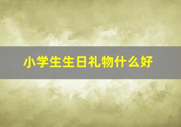 小学生生日礼物什么好