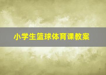 小学生篮球体育课教案