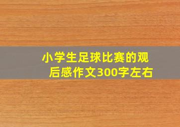 小学生足球比赛的观后感作文300字左右