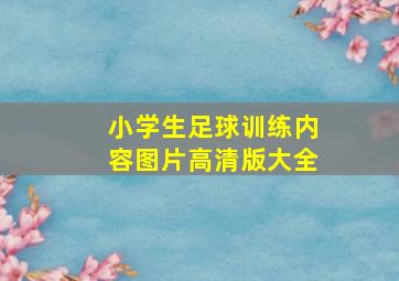 小学生足球训练内容图片高清版大全