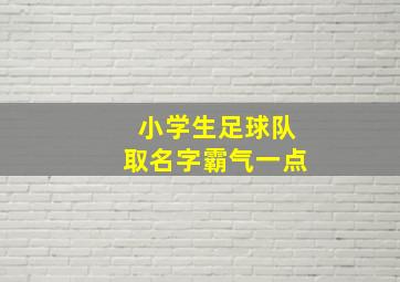 小学生足球队取名字霸气一点