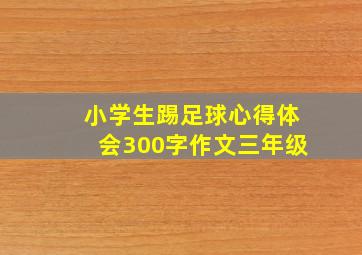 小学生踢足球心得体会300字作文三年级