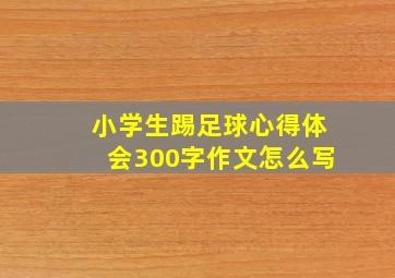 小学生踢足球心得体会300字作文怎么写