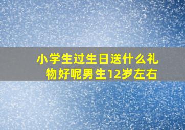 小学生过生日送什么礼物好呢男生12岁左右