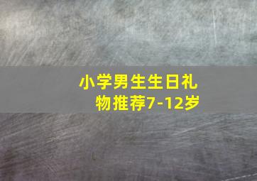 小学男生生日礼物推荐7-12岁